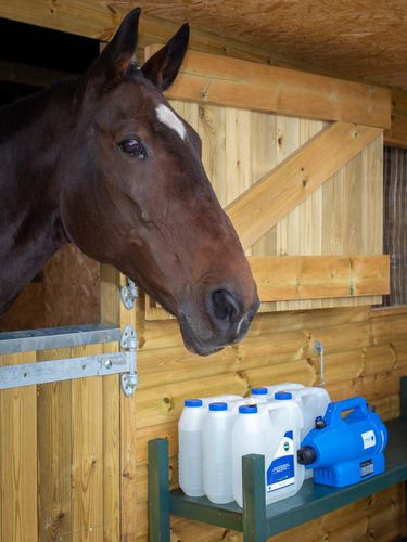 Biosecurity Need Not Cost the Earth